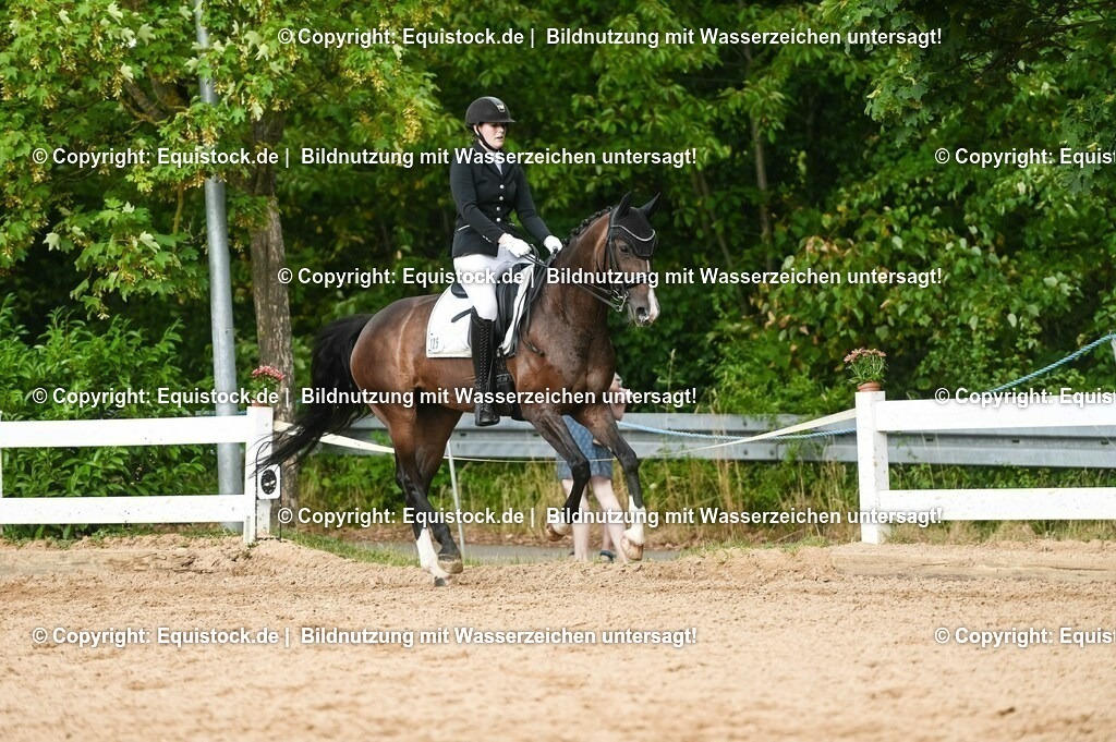20230716_01_Dressurprüfung Kl.M_0519 | equistock