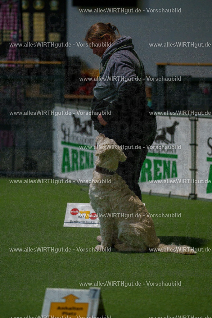 7R507518 | Professionelle Tierfotografie in Mönchengladbach von Daniel Wirth (allesWIRTHgut). Liebevolle & natürliche Bilder von Hunden & Katzen für unvergessliche Erinnerungen.