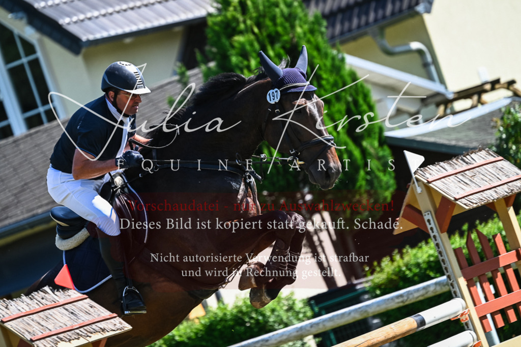 DSC_1714 | Pferde- und Turnierfotografie in Westsachsen. Pferdeportraits, Auftragszeichnungen und intuitive Kunst.