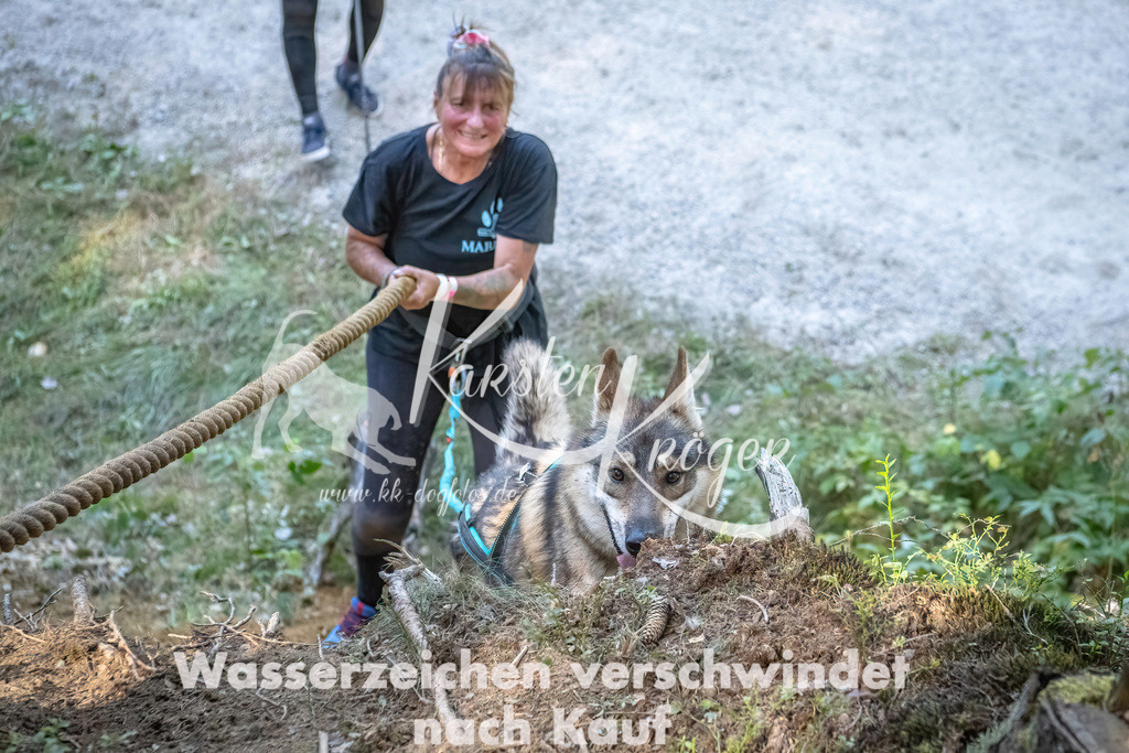 1138_ZZ91155 | kk-dogfotos