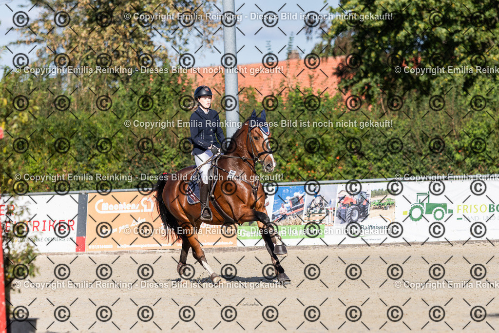 CL5A4320 | Emilia Reinking Fotografie - Realisiert mit Pictrs.com