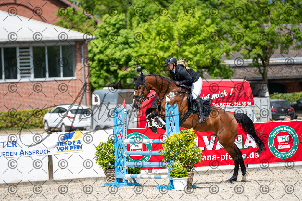 KPT_5644 | andre_photographic