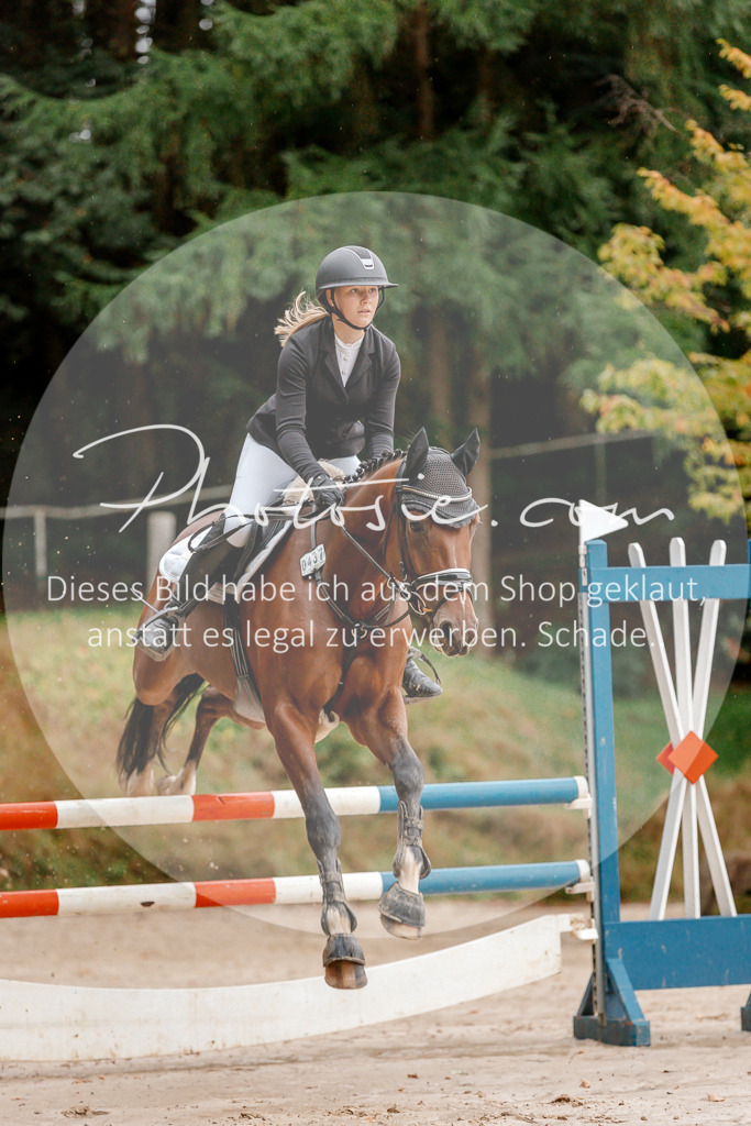3I6A5632 | Stimmungsvolle Portraits und Reitsportfotografie im Ruhrgebiet und im Münsterland.

Pferdefotografie, Hundefotografie, Tierfotografie, Reportagen, Portraits von Tier und Mensch, Turnierfotografie in Bochum, Recklinghausen, Marl, Haltern am See, Dülmen.. - Realisiert mit Pictrs.com