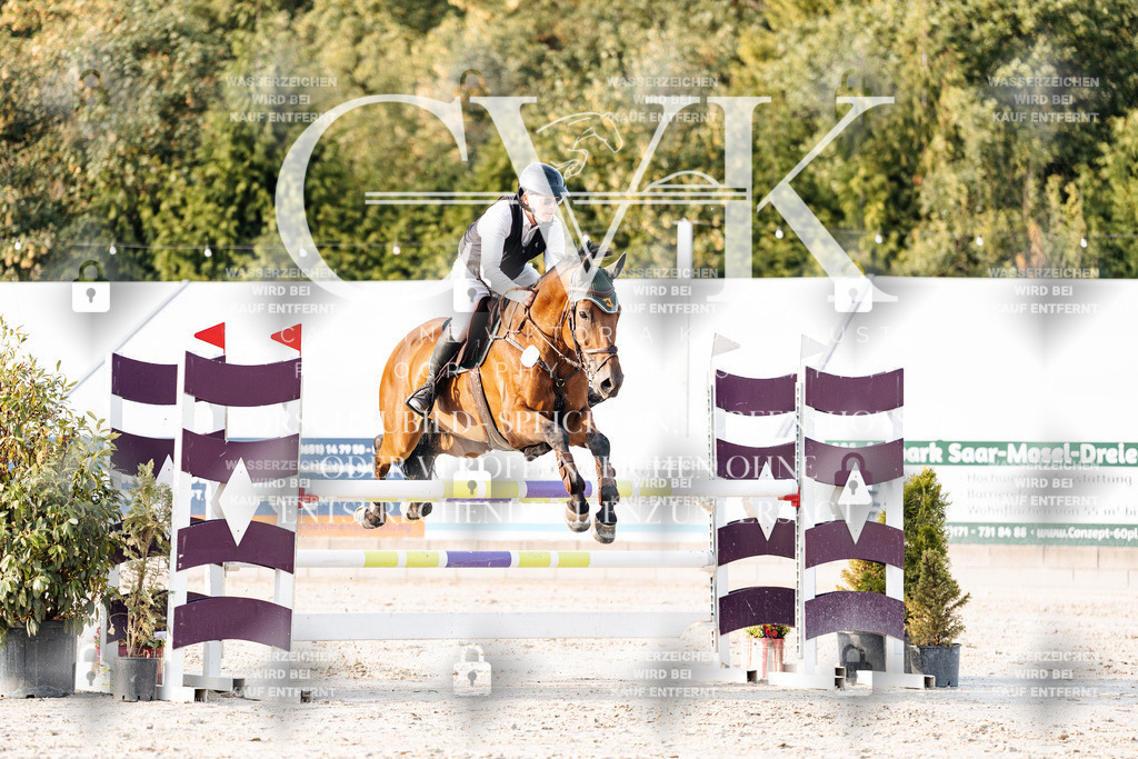 CK903584 | Turnierfotografie Pferdefotografie Trier Rheinland-Pfalz Pferdesport Reitsport Tierfotografie Sportfotografie Pferdevideo Pferdevideografie Equestrianvideography equestrianphotography  - Realisiert mit Pictrs.com