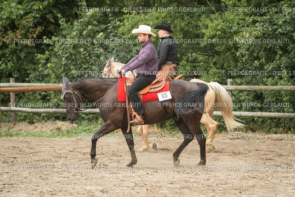 DSC03144 | Pferdegrafie