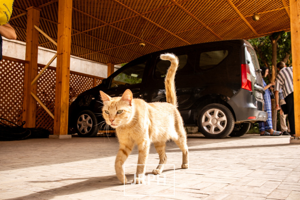 IMG_8050 | jrph - Realisiert mit Pictrs.com