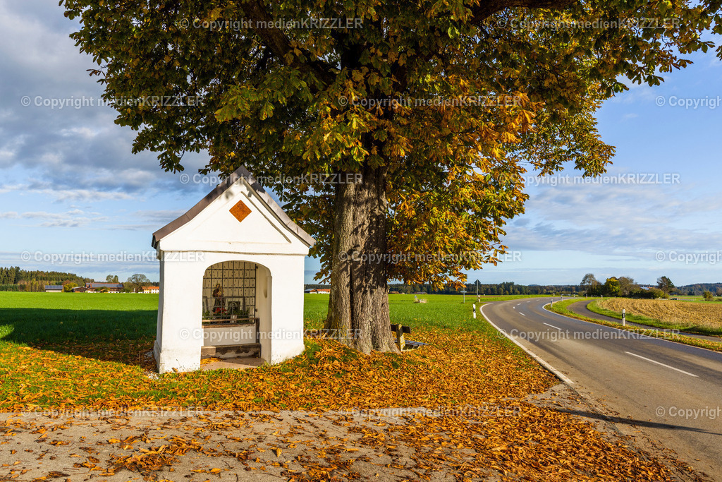 _J3A8929 | medienkrizzler - Realisiert mit Pictrs.com