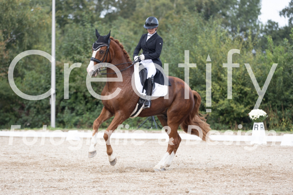 IMG_4774 | Creatify Fotografie