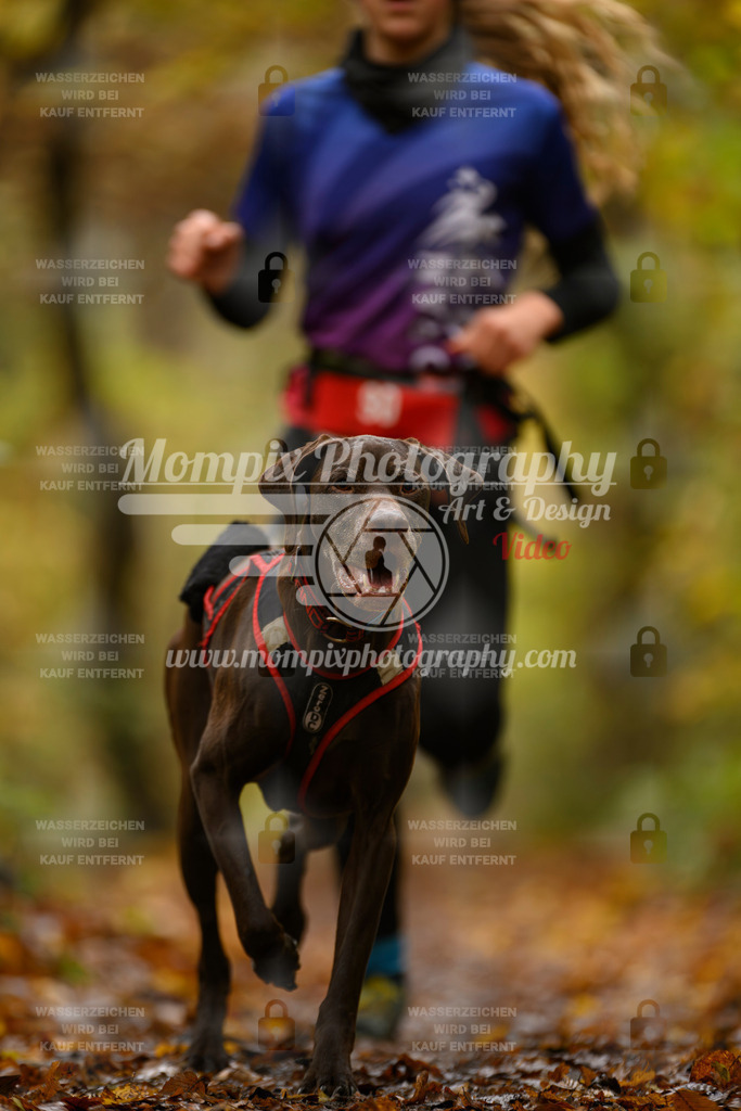 MompixPhotography_CD7S_DI_CCL-87 | mompixphotography