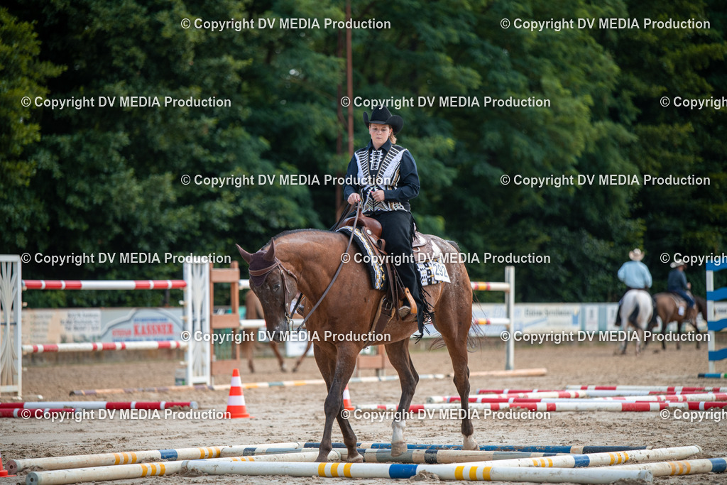 ZS3_9151 | dv-media-shop - Realisiert mit Pictrs.com