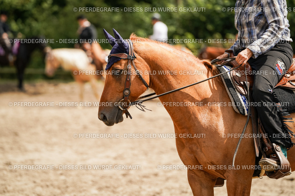 DSC09962 | Pferdegrafie