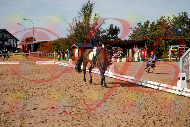 2026_10_03_Siefer-Hof_123048_Z63_51787434 | Professionelle Reitsport-, Turnier- und Eventfotografie von Robert Broda. Galerien mit ausgewählten und bearbeiteten Bildern direkt online ansehen und bestellen.