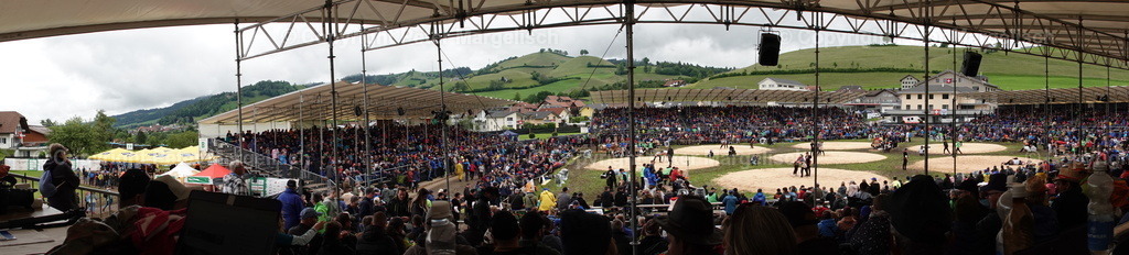 DSC07637 | Schwingen - Realisiert mit Pictrs.com