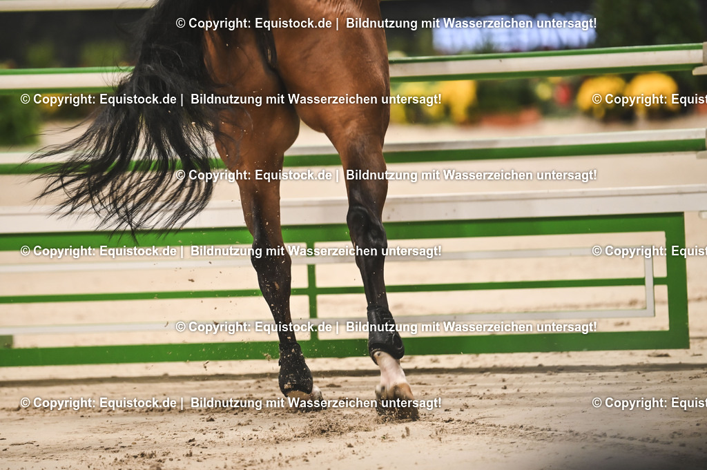 20241114_BW-Bank Hallenchampionat_TOMsPiC_0029 | Foto: Thomas Hartig