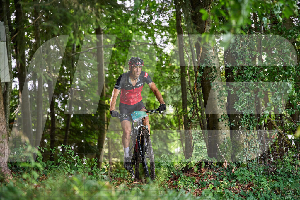 Betriebszentrum Laubenbachmühle, Frankenfels, Österreich - 13. September 2025: Dirndltal Race - Fun und Trophy RaceFotograf: Martin Bihounek / martinbihounek.com | 13. September 2025 Betriebszentrum Laubenbachmühle, Frankenfels, Österreich : Dirndltal Race - Fun und Trophy Race •••••Photo by: Martin Bihounek / martinbihounek.comInsta: @martinbihounekcom