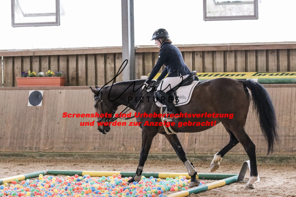 IMG_1867 | lmwpictures - Realisiert mit Pictrs.com