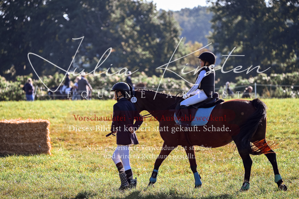 DSC_0257 | Pferde- und Turnierfotografie in Westsachsen. Pferdeportraits, Auftragszeichnungen und intuitive Kunst.