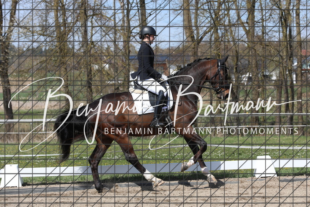 AZ2A5543 | Benjamin Bartmann Photomoments