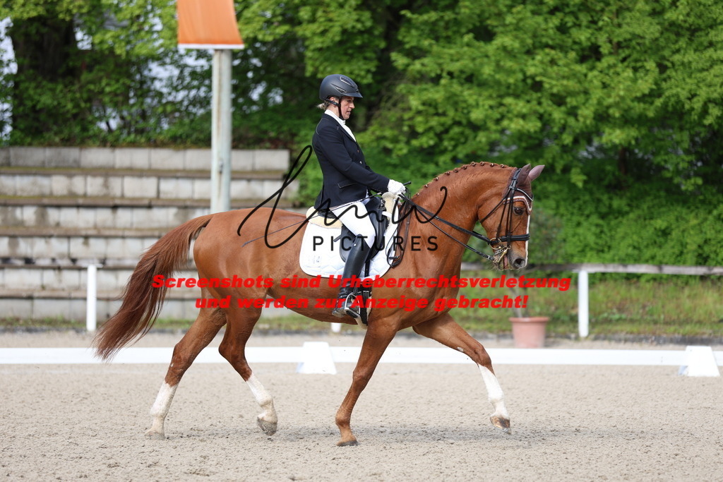 A40A0162 | lmwpictures - Realisiert mit Pictrs.com