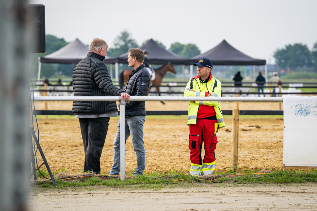 DSC08818 | Pferdegrafie