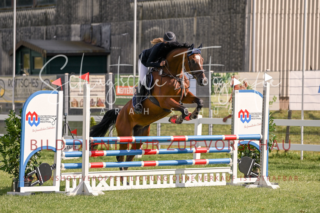 Schugtsche-Düren.2024-07.Amat.Springprf.A__-156 | Schugtsche Fotografie - Realisiert mit Pictrs.com