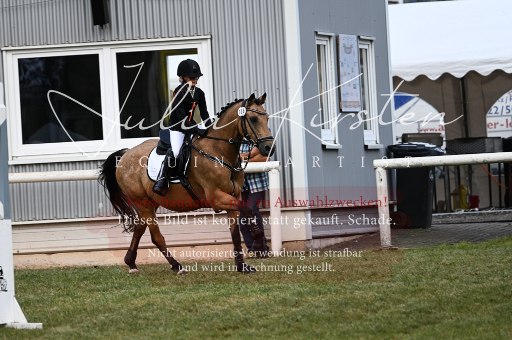 DSC_5614 | Pferde- und Turnierfotografie in Westsachsen. Pferdeportraits, Auftragszeichnungen und intuitive Kunst.