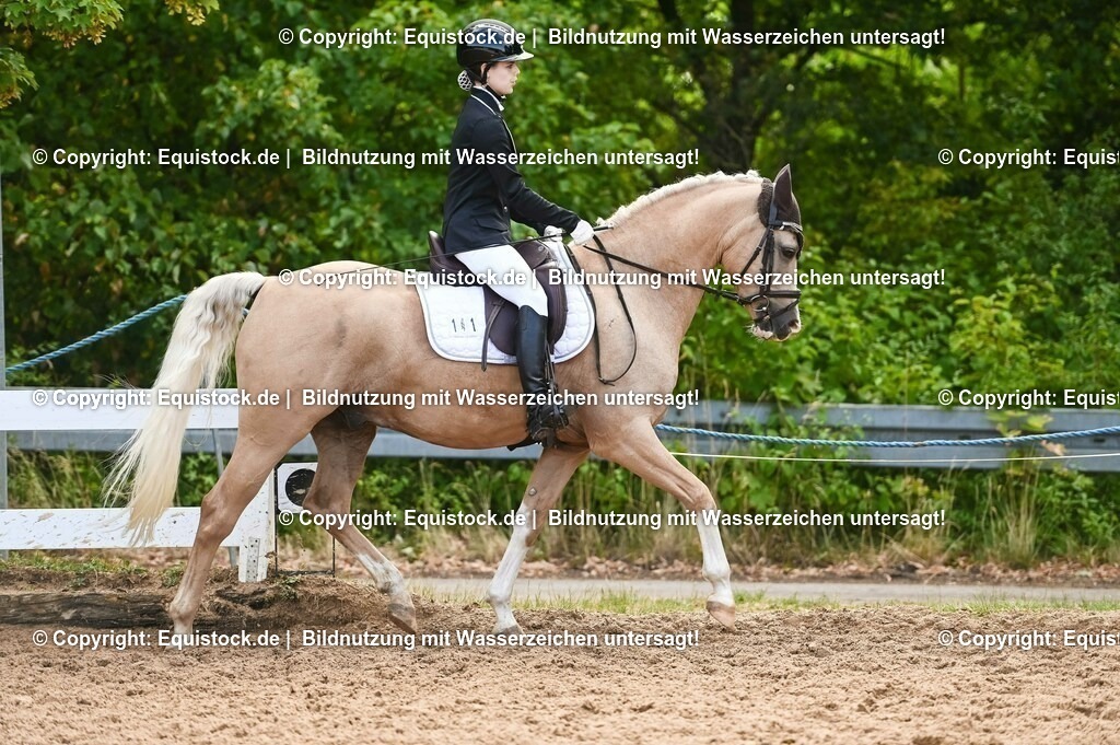 20230716_04_Dressurreiterprüfung Kl.A_0349 | equistock