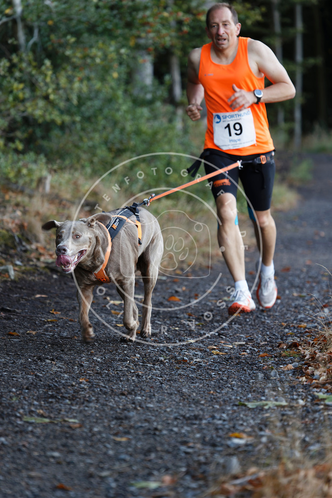 0L8A1466 | Hundefotografie, Tierfotograf, Pfotenfotografie, Fotoshooting Hund, Hunde Portrait, Hundesport, Hundeportraits, Heideshooting, Hunde, Sportfotograf, Hundefotograf, Turnierhundsport, THS,  - Realisiert mit Pictrs.com
