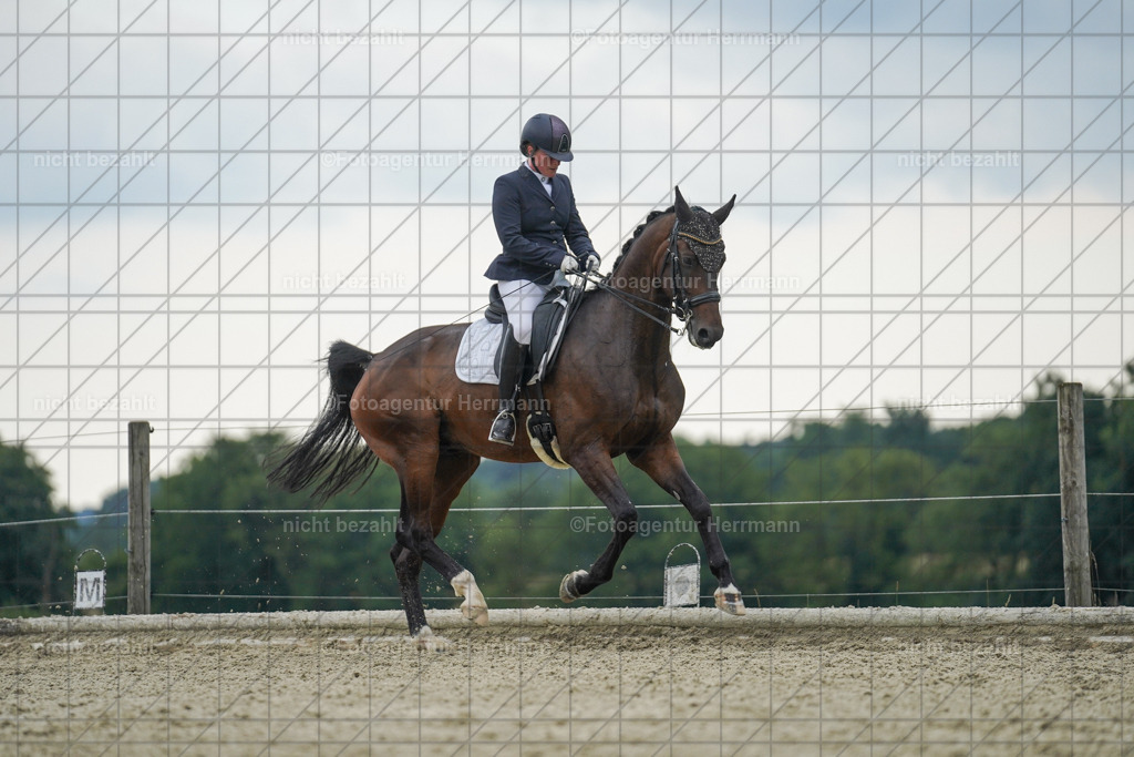 20230826-FAH06259 | Forstinning, 2023, Dressurturnier, Turniersportbilder, Turnierfotografen Bayern, Fotoagentur Herrmann, Reitsportfotografie, Turnierbilder