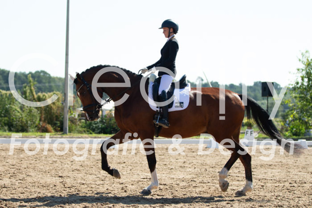 IMG_3597 | Creatify Fotografie