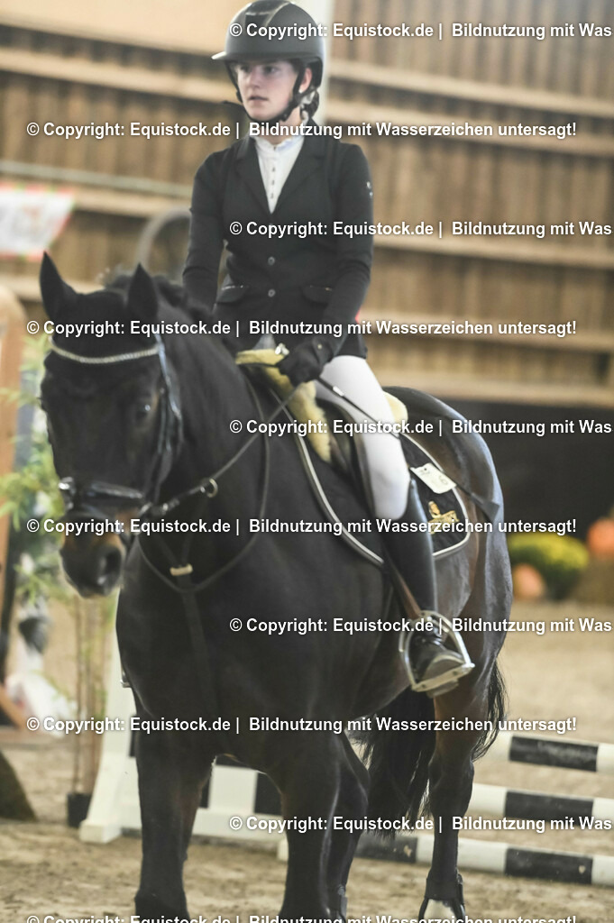 20231029_07_Stilspring-WB-50cm_0013 | Foto: Thomas Hartig