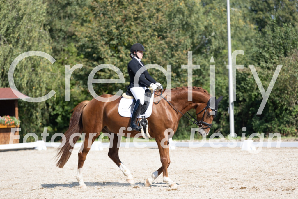 IMG_4762 | Creatify Fotografie