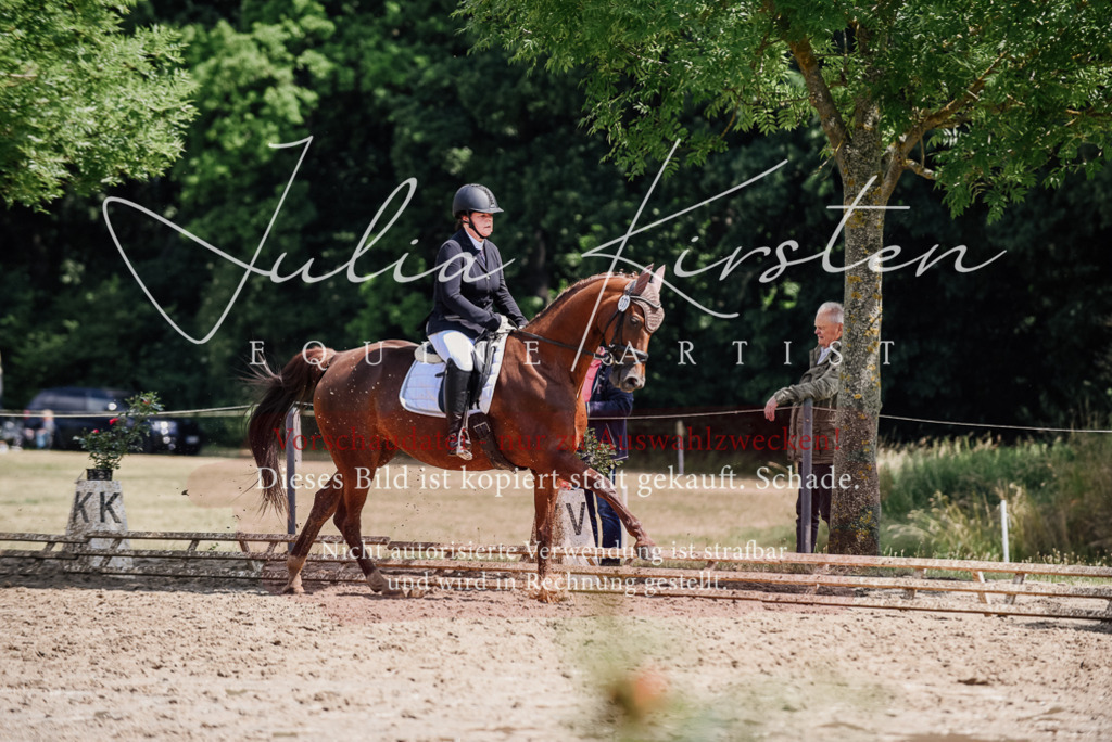 DSC_1331 | Pferde- und Turnierfotografie in Westsachsen. Pferdeportraits, Auftragszeichnungen und intuitive Kunst.