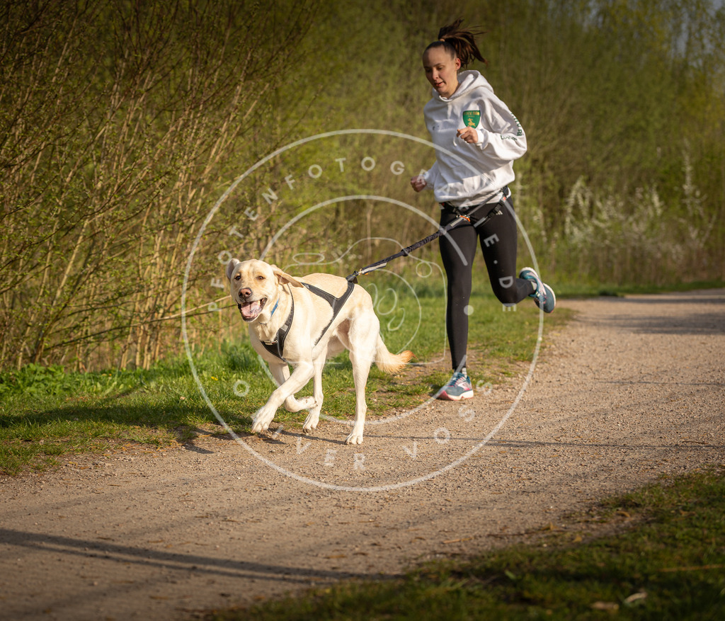 Pfotenfotografie_DV3A4554 | Hundefotografie, Tierfotograf, Pfotenfotografie, Fotoshooting Hund, Hunde Portrait, Hundesport, Hundeportraits, Heideshooting, Hunde, Sportfotograf, Hundefotograf, Turnierhundsport, THS,  - Realisiert mit Pictrs.com
