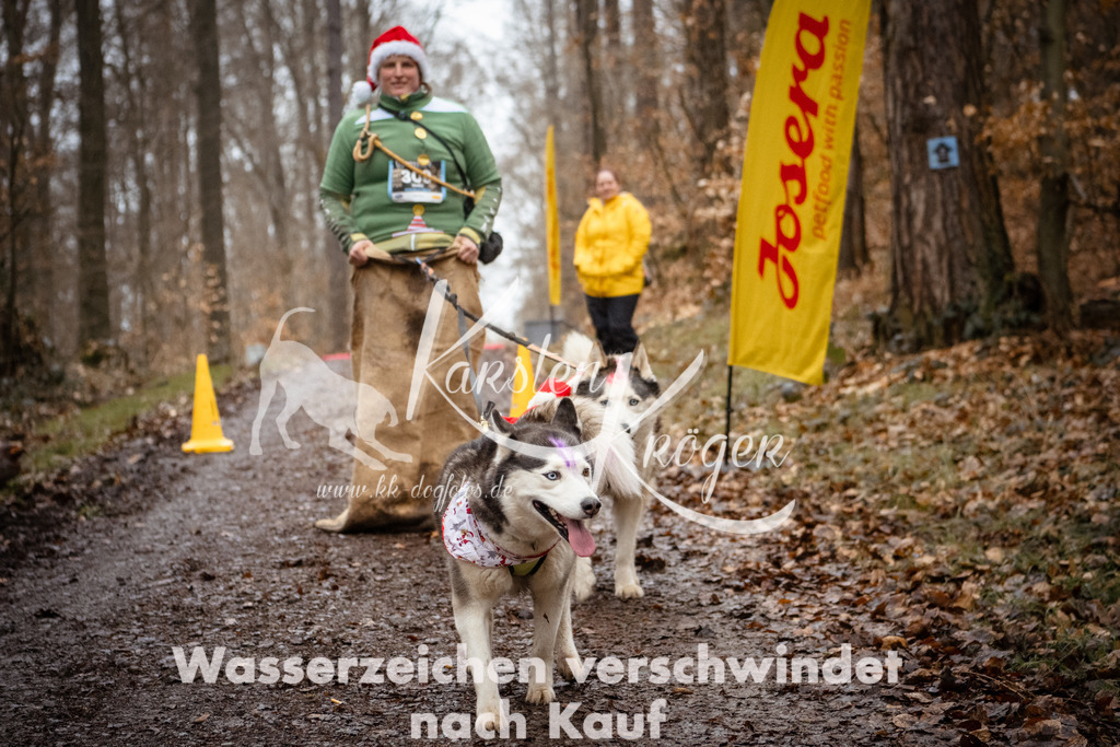 1142_ZZ91345 | kk-dogfotos