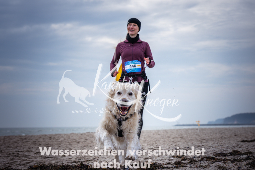 1153_ZZ91267 | kk-dogfotos