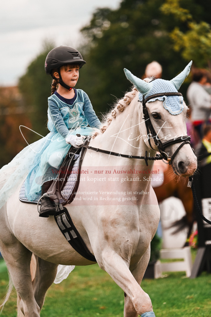 DSC_7387 | Pferde- und Turnierfotografie in Westsachsen. Pferdeportraits, Auftragszeichnungen und intuitive Kunst.