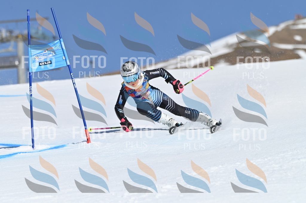 BGV_8481 | holidayphoto