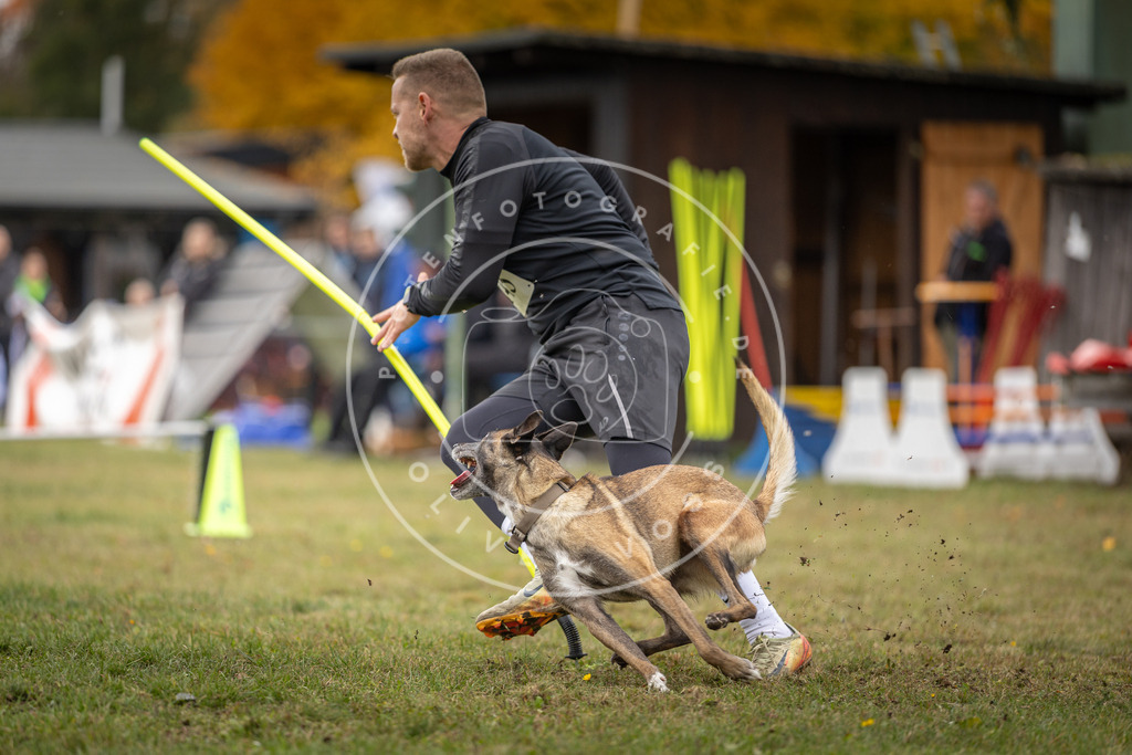 Pfotenfotografie_DV3A7805 | Hundefotografie, Tierfotograf, Pfotenfotografie, Fotoshooting Hund, Hunde Portrait, Hundesport, Hundeportraits, Heideshooting, Hunde, Sportfotograf, Hundefotograf, Turnierhundsport, THS,  - Realisiert mit Pictrs.com