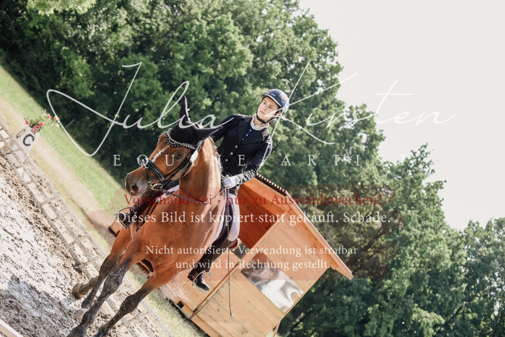 DSC_0463 | Pferde- und Turnierfotografie in Westsachsen. Pferdeportraits, Auftragszeichnungen und intuitive Kunst.