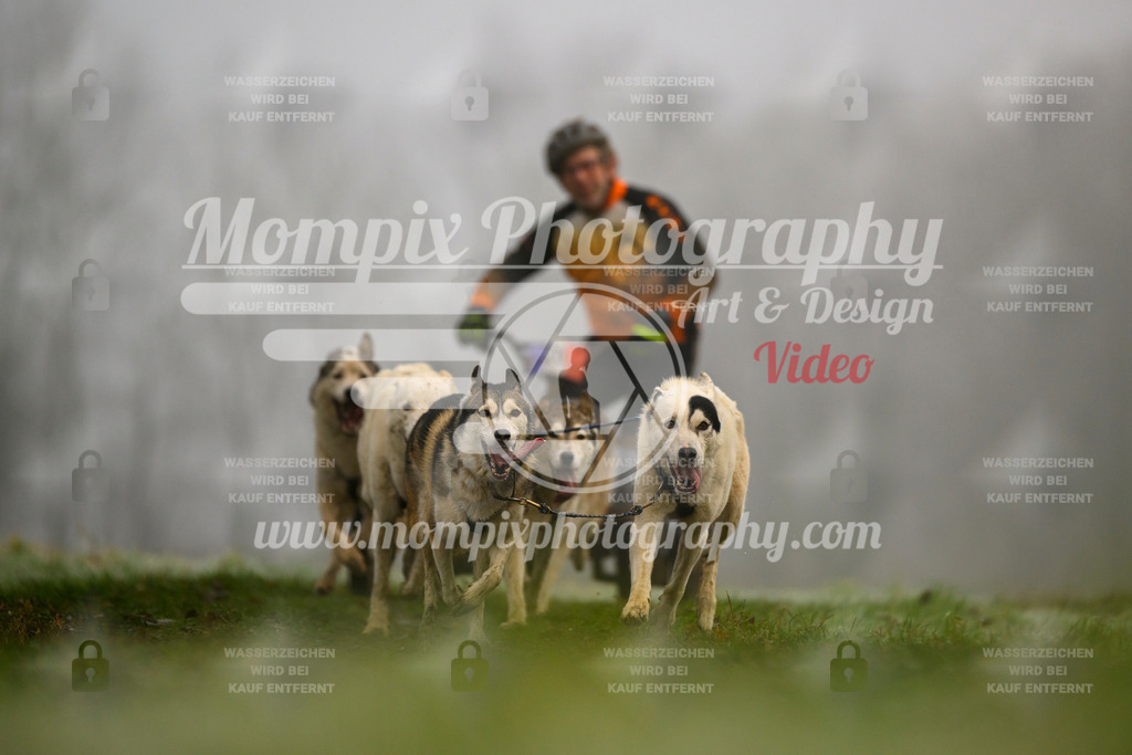 MompixPhotography_CDF2023_FFST_Di_Kart-61 | PayLife