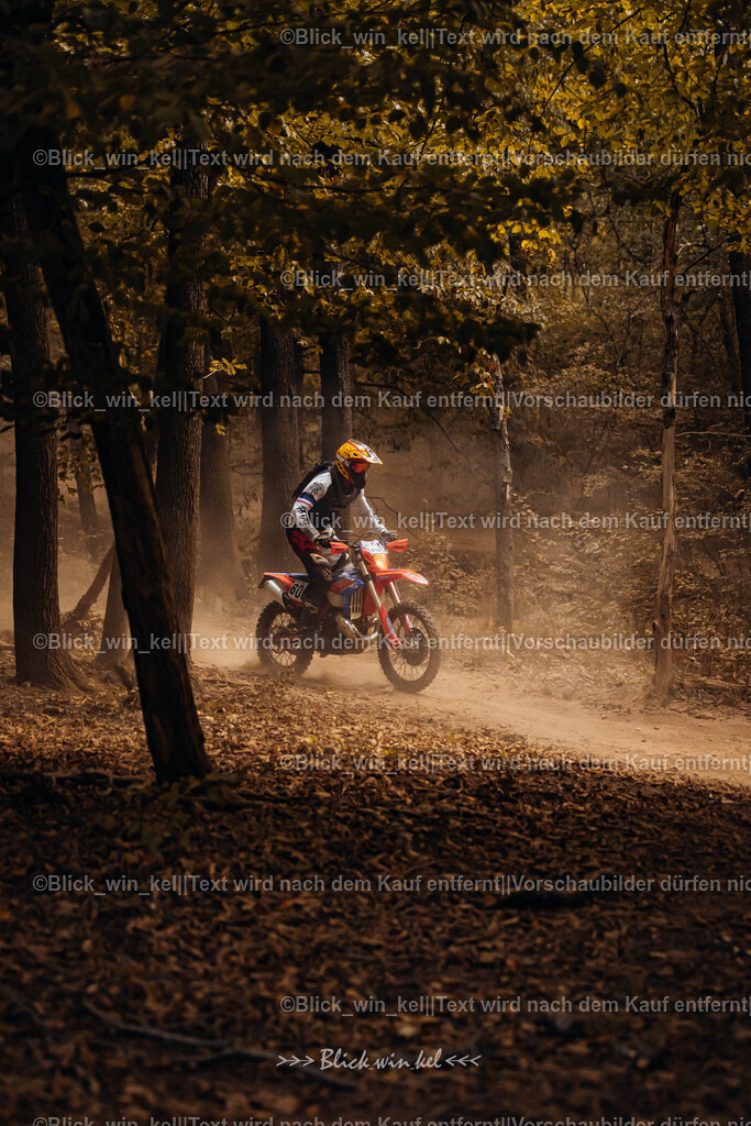 E68A7841 | blick_win_kel