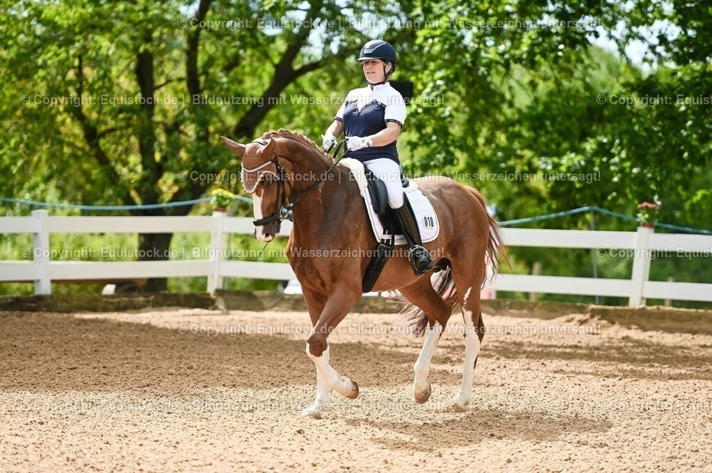 20230715_07_Dressurpferdeprfg. Kl.L_0021 | equistock