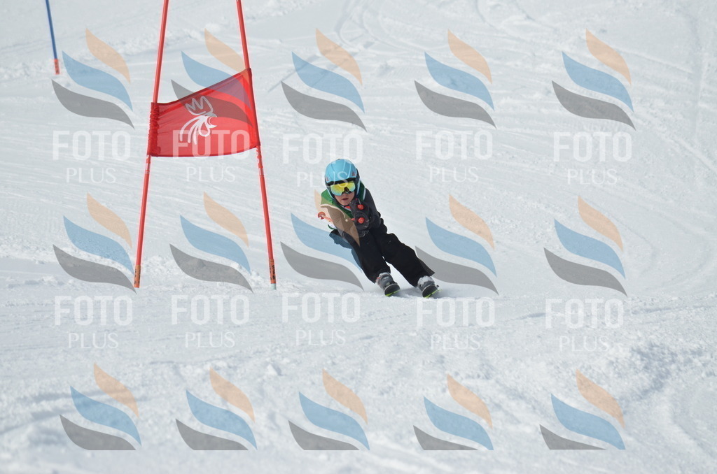 D8595 | holidayphoto