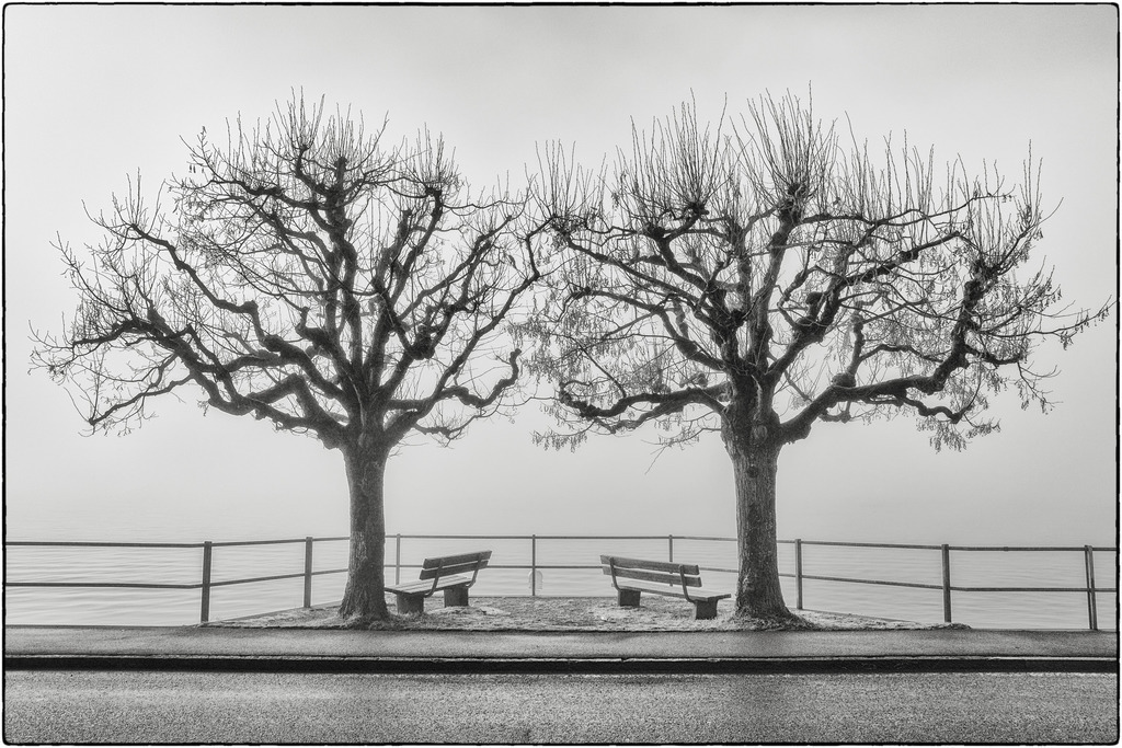 Twins | Zwillinge - ein Paar Bäume und Bänke an einem Nebeltag am Ufer des Thunersees in Oberhofen. 
-----------------------------------------------
Twins - A pair of trees and benches at the waterfront of the foggy Lake of Thoune in Oberhofen.
1/5 Hahnemühle Fine Art Print 42x62cm CHF 120
-----------------------------------------------
Dieser Druck ist in einer limitierten Auflage von 5 Exemplaren erhältlich. 
This print is available in a limited edition of 5 copies. 
http://art.hess.photography/16-twins.html - Realisiert mit Pictrs.com