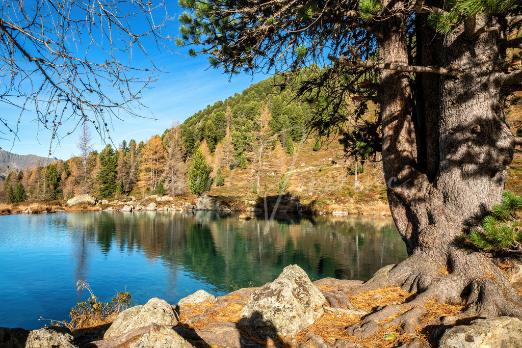 Berglisee | Herbstliche Stimmung