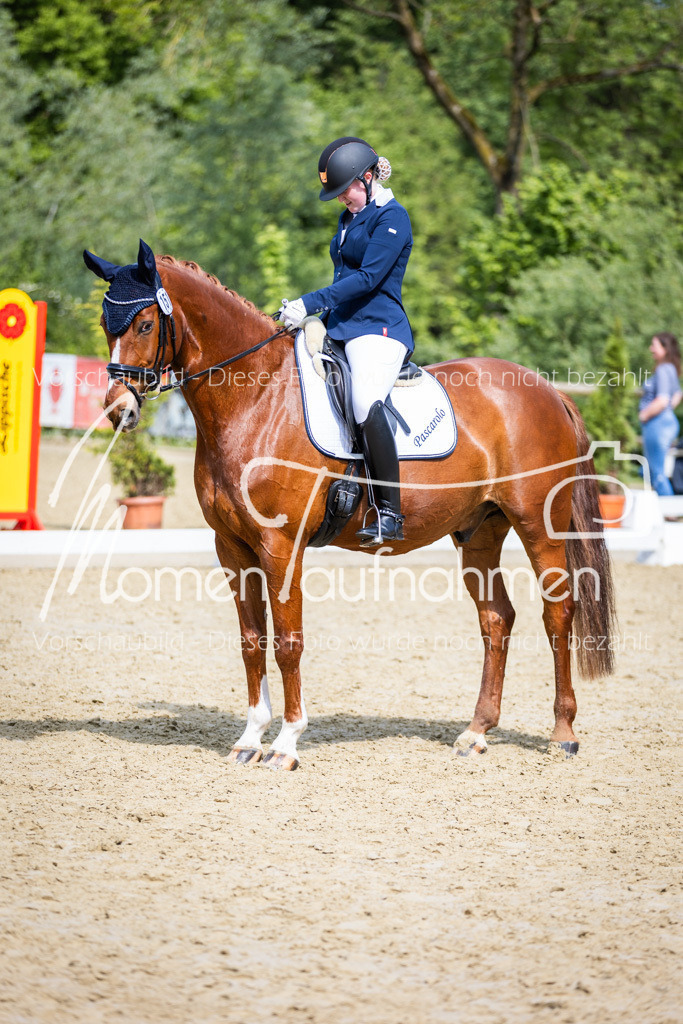 Donop24-L-Dre-001 | MomenTaufnahmen Pferdesportfotos