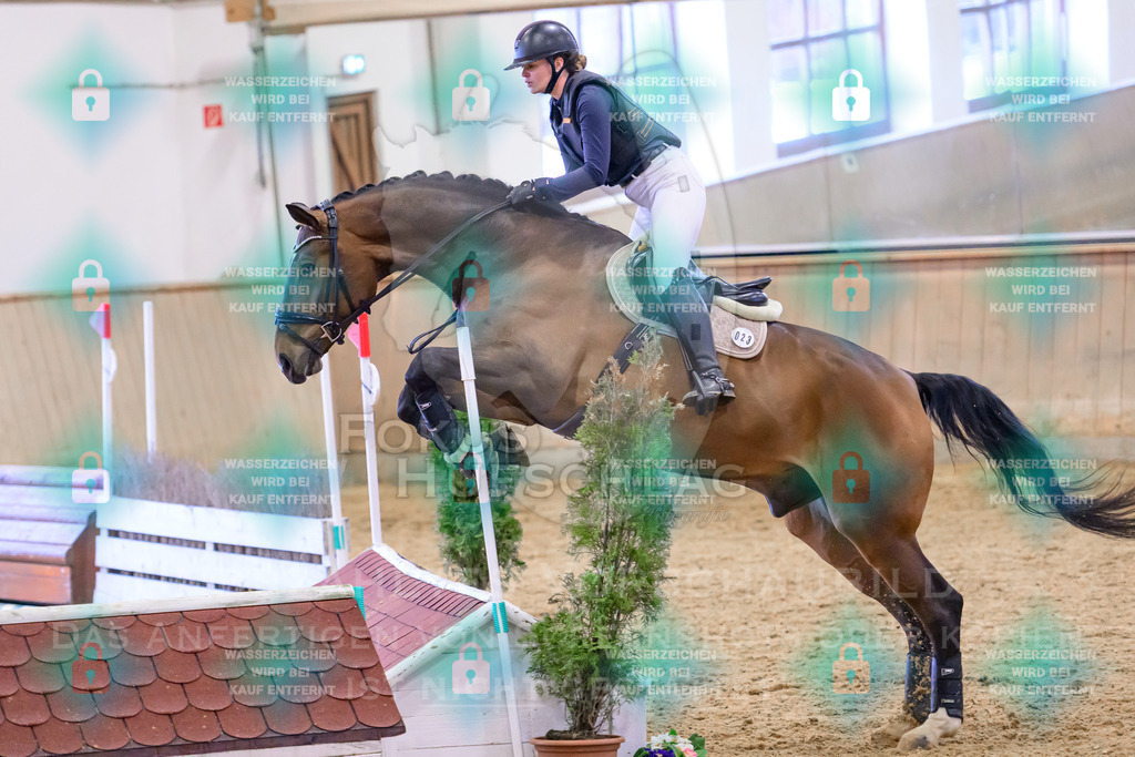 29032026-Schwaiganger-Prfg02-2-0090 | Fokus Hufschlag Fotografie - Realisiert mit Pictrs.com