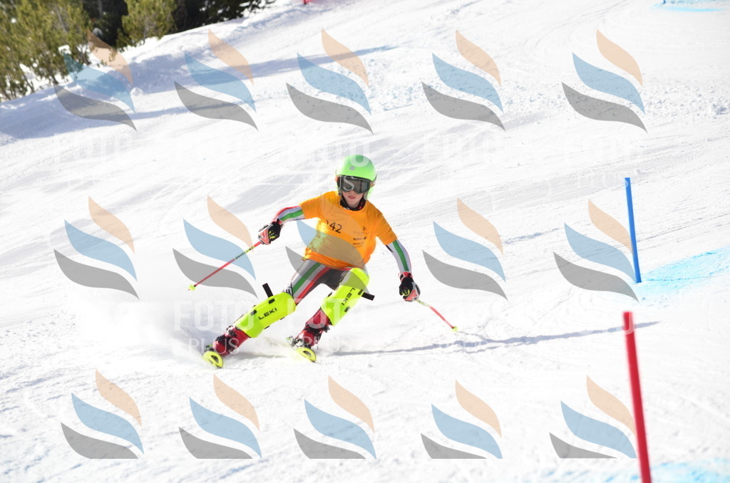 C6548 | holidayphoto