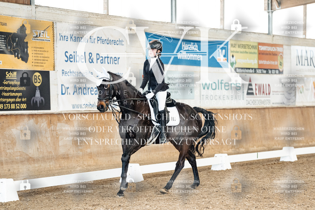 CK900226 | Turnierfotografie Pferdefotografie Trier Rheinland-Pfalz Pferdesport Reitsport Tierfotografie Sportfotografie Pferdevideo Pferdevideografie Equestrianvideography equestrianphotography  - Realized with Pictrs.com